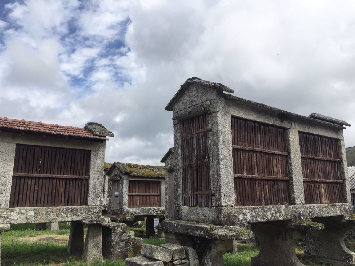 eiras-RIAS-BAIXAS-GALICIA