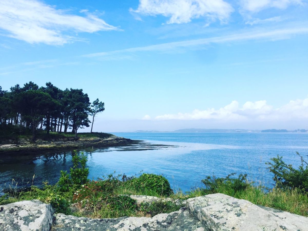 RIAS-BAIXAS-ISLA-CORTEGADA