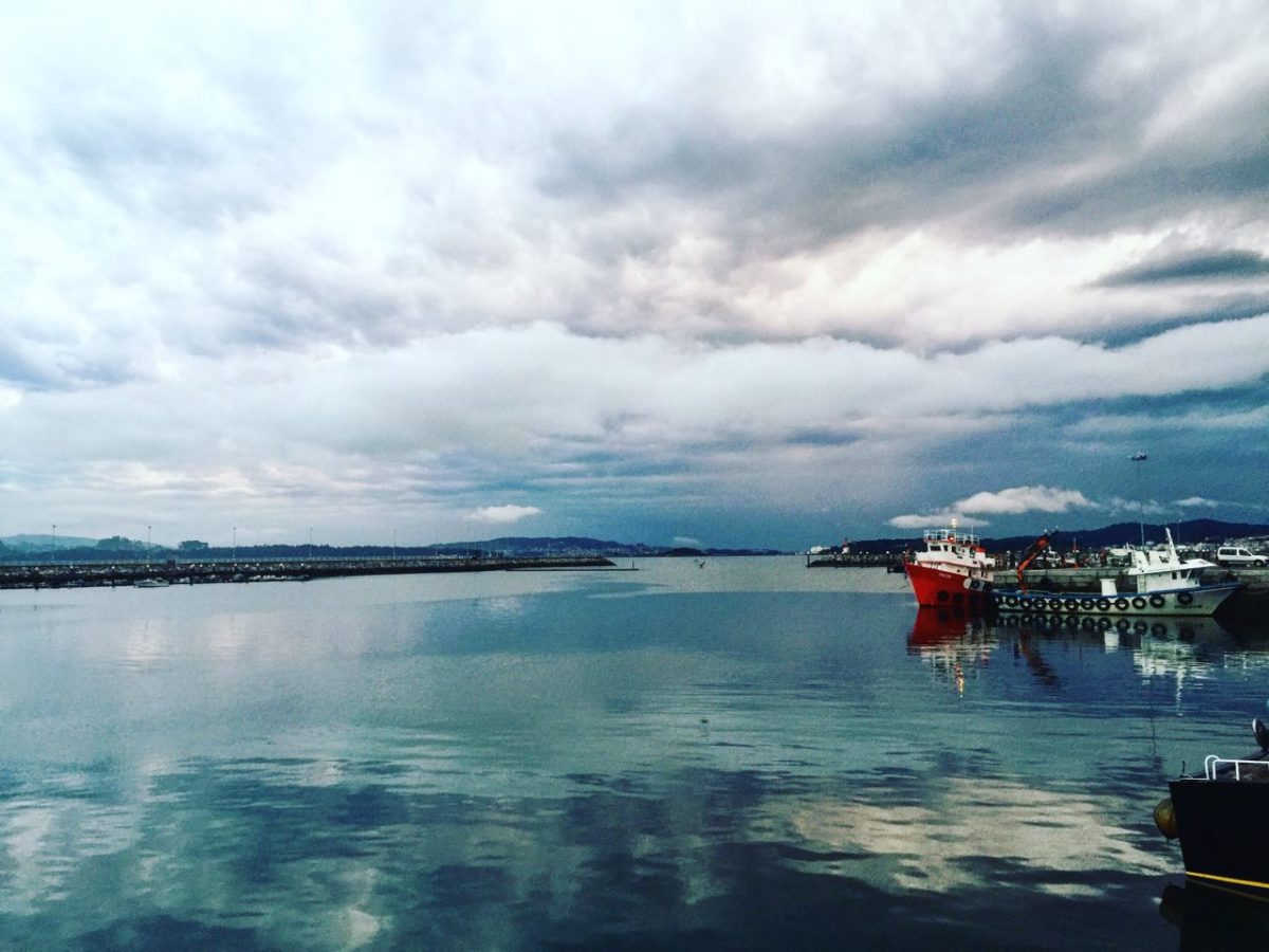 RIAS-BAIXAS-QUE-HACER-SUBASTA-CANTADA