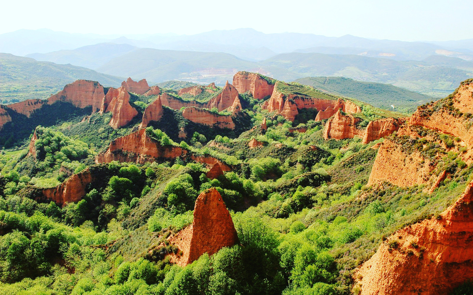 bosques-de-león-medulas